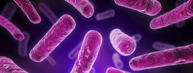 probiotici-su-vrlo-korisni