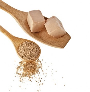 Najbolji-beta-glukan-je-izoliran-iz-kvasca