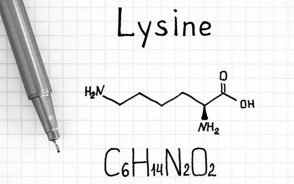 L-Lizin aminokiselina