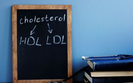 Ilustrativni prikaz podjele kolesterola na LDL i HDL